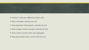 We did not find results for: Topic Review 1 Cells Ppt Download