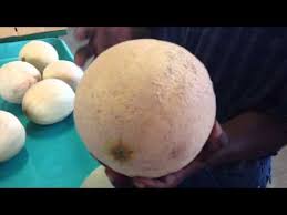 Check for these signs a cantaloupe is ripe the next time you hit the grocery store. Three Tips To Picking A Good Cantaloupe Youtube