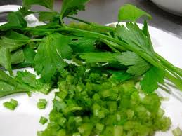 We did not find results for: My World Dunia Saya Daun Parsley