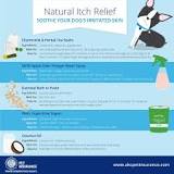 Image result for can hydrocortisone cream be used on dogs