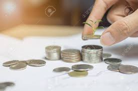 スタックお金かコイン ホワイト ペーパー グラフ上にツリーとコインを持っている手 概念の成長やビジネスとファイナンスのお金を節約します の写真素材 画像素材 Image 81202128