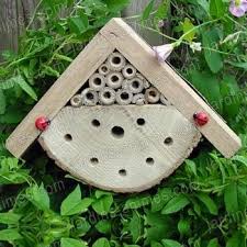 Maison Coccinelle Maison Coccinelle Maison A Insecte Nichoir A Insectes