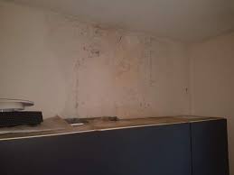 Die wand muss dementsprechend behandelt werden. Wie Weit Darf Die Miete Gemindert Werden Schimmel Mietminderung