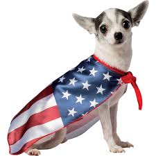 Rasta Imposta Usa Flag Cape Dog Costume Clothing More