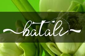 Ranging from script, display, sans serif, serif, display, & more at dafont.zone Batali Calligraphy Font Befonts Com