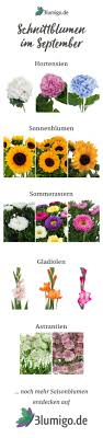 Welche Blumen Gibt Es Im September Schnittblumen Saison Kalender Saison Blumen Schnittblumen Blumen Geben