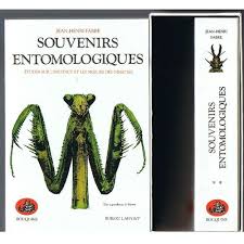Souvenirs Entomologiques Coffret Deux Volumes Rakuten