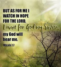 They defraud people of their homes, they rob them of their inheritance. The Living Micah 7 7 Niv But As For Me I Watch In Hope
