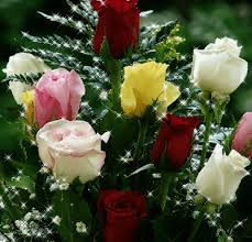 Visualizza altre idee su rose rosse, rose, rosso. Pin Di Gizella Ruzsomne Su Fiori Mazzo Di Rose Fiori Buon Compleanno