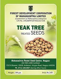 An impressive seed of frozen rivers and ice spikes, surrounded by forests and grassland. Maharashtra Forest Seed Centre Teak Wood Tree Seeds 200 Grams Buy Online In Germany At Desertcart De Productid 64799359
