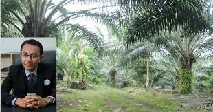 Ada yang tengah survey rumah ke sekarang ni? Masalah Tanah Pusaka Banyak Nama Ini Penyelesaian Mudah Dari Pakar Impiana