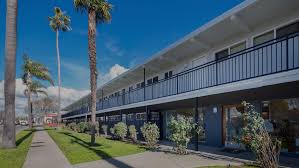 Maybe you would like to learn more about one of these? Apartments For Rent In Hayward Ca Aloha