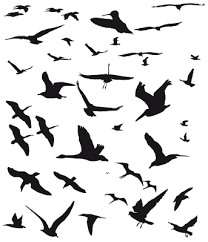 Bird Designs Line Drawing Google Search Flying Bird Silhouette Bird Silhouette Birds Flying
