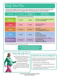 pregnancy diet plan chart in urdu