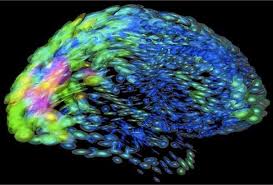 As a result, in 2012, two of the five leading. Understanding Post Treatment Chemobrain National Cancer Institute