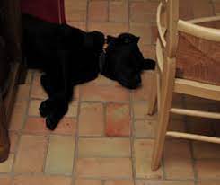 We did not find results for: Home Norfolk Pamments