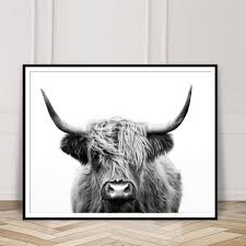 Black And White Bull Canvas Nordic Simple Decoration Black And White Highland Cow Canvas Painting Posters And Prints Wall Art For Home Bedroom Decor In 2020 Highland Cow Canvas Cow Canvas Highland Cow Painting