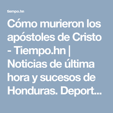 Pin En Sopa De Letras