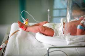 Requirements To Be A Neonatologist - Career Trend