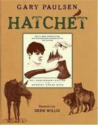 Hatchet Novel Miss Bosch6th Grade Math