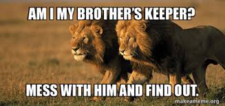 Antti holma, armi toivanen, saga sarkola and others. Am I My Brother S Keeper Family Obligation Affects Moral Judgments Psychonomic Society Featured Content