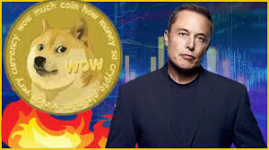 He tweets about it alot, but does elon musk own any dogecoin? Elon Musk Issues A Dogecoin Warning Youtube