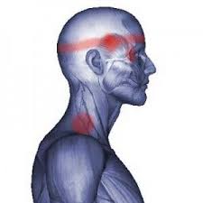 Pin On Shoulder Pain Research