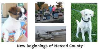 New beginnings animal rescue merced. New Beginnings For Merced County Animals Merced County Events
