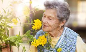 Why people's sense of smell deteriorates with age