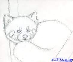 Learn the way to draw a cute panda drawing in 6 easy steps. How To Draw A Red Panda Step By Step Forest Animals Animals Free Online Drawing Tutorial Added By Finalprodigy Panda Sketch Panda Drawing Easy Red Panda