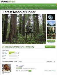 Their Trabul Ajuncies Gan T Repel Radings Ob That Magnatoob Forest Moon Cool Places To Visit Picture Site