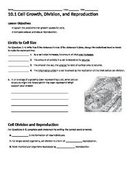 Hence, our rendition of human reproduction mcq is aimed at helping students understand the concepts and recall them with ease. Cell Growth And Division Background And Mitosis Worksheet Packet By Val