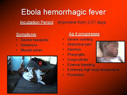 These virus types cause hemorrhagic fever or profuse bleeding inside and outside the body. Scientific Name Ebola Virus Filoviridae Family 4 Strains
