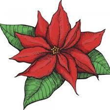 Dibujo en blanco y negro de un huevo de pascua con motivos florales para pintar, colorer o imprimir. Flor De Pascua Origen De Una Tradicion Navidena