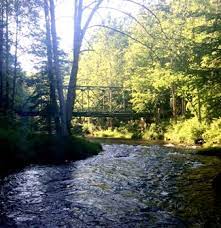 We did not find results for: Gunpowder Hereford Area