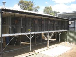 Bird Aviary For Sale South Africa Aviary Designs Bird Aviary Aviary Bird House Kits