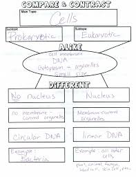 This worksheet is used to know the students understanding on the living things. Classification Living Things Worksheet Classification Of Living Things 6th Grade Google Searc Life Science Lessons Life Science Middle School Biology Classroom