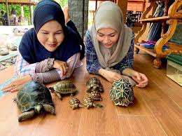 Of unmarried professional women') 02.12.2005; Rezeki Anak Rahsia Besar Allah Kagum Tengok Cara Bonda Rozita Didik Zuriatnya Nona