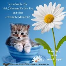 Deswegen habe ich heute morgen auch schon ein fellknäuel ausgewürgt, maunz. Dreamies De Lffaw3auf1t Jpg