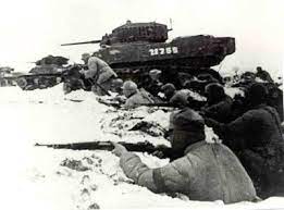 此役激戰中的國軍第五軍 可以見到1948年才美援來華的m5a1戰車 共軍除正規部隊外 還包括上百萬的民工 負責掘壕 運補 抬走傷患等工作