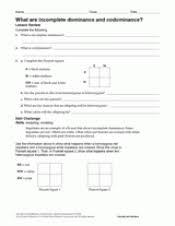 Learn vocabulary, terms and more with flashcards, games and other study tools. What Are Incomplete Dominance And Codominance Printable 6th 12th Grade Teachervision