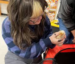 Cross Creek High pilots chick hatching project - Augusta Good News