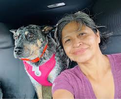 Roof leak from chimney area in Old Fort area?