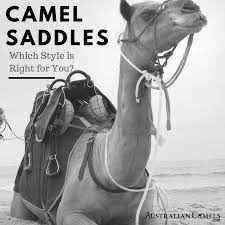 Camel supports a pluggable interface called predicate which can be used to integrate a dynamic predicate into enterprise integration patterns such as when using the message filter or content based router. Camel Saddles Which Style Is Right For You Camel Connection