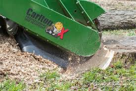 Maple Springs Tree Service Havelock Nc Tree Services Mapquest