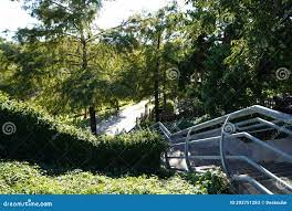Stairs To Trails in Houston Texas Buffalo Bayou Park Landscape Photo Image  Stock Image - Image of background, grass: 203751283