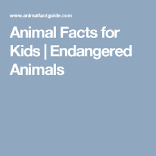 This is where you'll discover fun (and furry!) animal facts about our planet's incredible wildlife. Animal Facts For Kids Endangered Animals Animal Facts For Kids Animal Facts Facts For Kids
