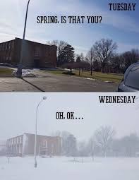 Spring Is Almost Here Funny Pictures Weather Memes Funny