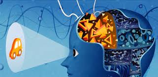 Structure descriptions were written by levi gadye and alexis wnuk and jane roskams. Despite Dearth Of Data Firms Sell Brain Training As Autism Antidote Spectrum Autism Research News