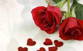 Valentine's day is the perfect time of year to show the person you love how much you if you're planning on sending flowers to a friend, try yellow roses, which symbolize friendship. Pin By Aleshia On Red Roses Rose Flower Wallpaper Beautiful Rose Flowers Beautiful Red Roses